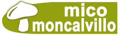 Logo MicoMoncalvillo