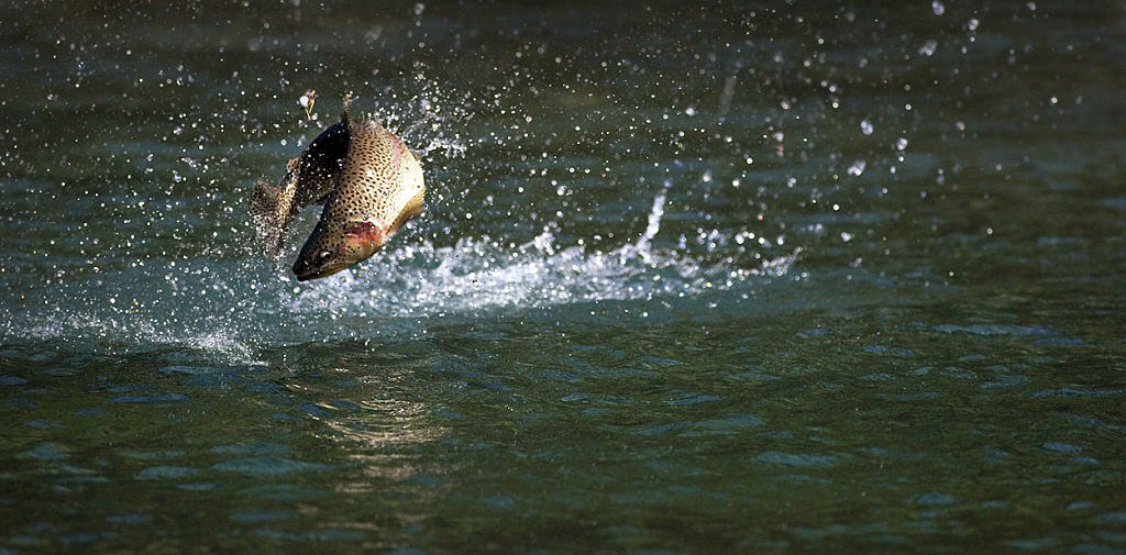 Pesca en el Embalse González Lacasa